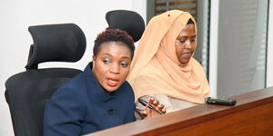Health CS Susan Nakhumicha (left) appearing before the Parliamentary Departmental Committee on Health.