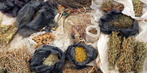 A photo of a variety of herbal medicines on display.