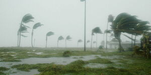 A footage depicting strong winds during rainy day.