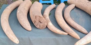 Ivory seized by DCI Baringo County