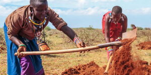 Members of Maasai community digging bunds