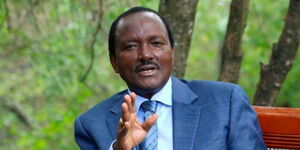 A photo of Kalonzo Musyoka speaking