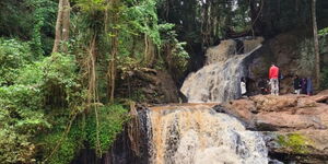 Karura