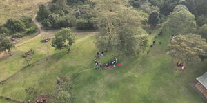 Karura Forest drone view