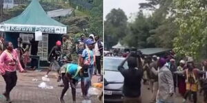 Karura forest protests