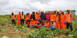 Kenyans taking part in seasonal workers project in the United Kingdom.