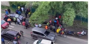 A photo of a thicket where a phone snatcher hid from a mob in Kilimani on January 23