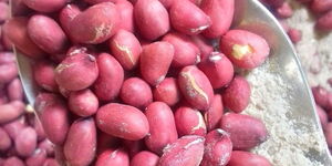 roasted nuts
