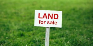 An image of lush green lands advertised to be sold.