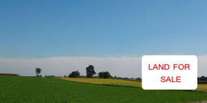 An image of lush green lands advertised to be sold.