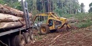 A screengrab of a bulldozer clearing a forest in Chemususu Forest, Baringo County.