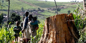 Children from the Ogiek tribe in the Mau Forest Complex in July 29, 2009.