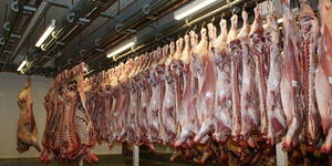 A picture of meat in display ready for distribution.