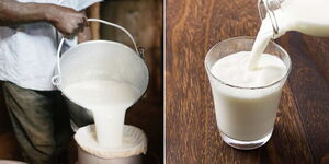Photo collage of a farmer sieving milk and an individual ready to drink milk in a cup