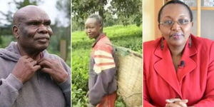 A collage image of Kenyan Athlete Henry Ronoh at 70 years old (Left) former Kenyan athlete Delilah Asiago picking tea in Cherangany, Trans Nzoia County(Centre) and Lucy Githaiga, a woman who lost money to scammers(Right)