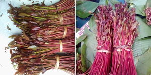 Miraa leaves in being sold in bundles at a Kenyan market on June 3, 2023.