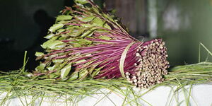 A bundle of miraa ready for sale in Meru county