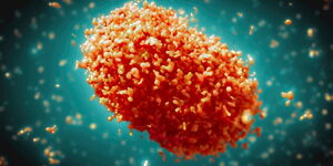 A graphic illustration of the Mpox virus