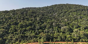 Mrima Hill