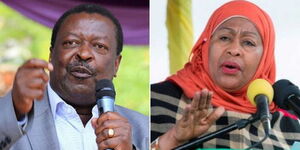 Mudavadi Suluhu