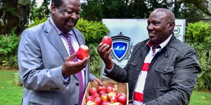 Peter Wambugu (right) and ANC Leader Musalia Mudavadi 