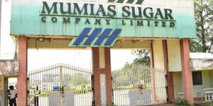 A photo of the entrance gate to Mumias Sugar Company.