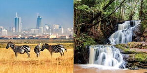 A collage of the Nairobi National Park and the Karura Forest Water Falls.