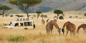 Tourist on a Safari Truck in Kenya 