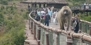 Kenyans hiking at Nairobi Safari Walk.