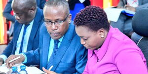 A photo of health CS Nakhumicha, speaking to the parliamentary committee on February 15