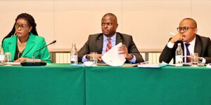 Budget and Appropriations Committee led by Kiharu MP Ndindi Nyoro. 