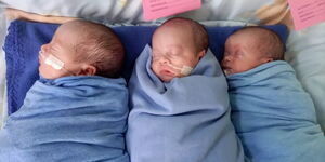 Image of newborn triplets in a hospital.