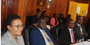 A photo of the Parliamentary Committee of Public Investment Committee Governance and Education 
