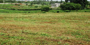 Photo of Marina gardens in Kiambu