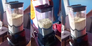 A blender crushing maize into cooking flour.