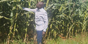 President William Ruto inspecting his farm