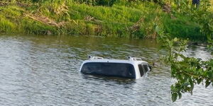 Probox Plunges Into Swamp