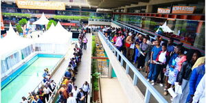 Kenyans lining up for jobs at KICC on Friday, October 25, 2024