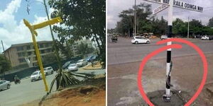 A photo of Raila Odinga roadsign painted yellow (left) and a snake coiling around the signage.