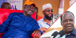 Raila, Joho, Oparanya