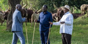 From left to right: President William Ruto, Azimio's Raila Odinga and Uganda's Yoweri Museveni in Kisozi, Uganda on Monday, February 26, 2024.