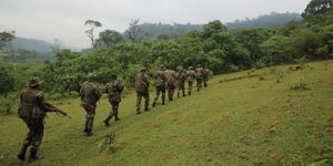 Rangers from the Kenya Forest Service (KFS) during a past operation