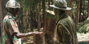 A photo of KFS Forest Rangers at Molo Forest Station on December 7, 2023.