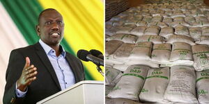 A photo collage of President William Ruto and subsidized fertilizer