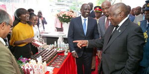 President William Ruto and his South African counterpart Cyril Ramaphosa on during their meeting on November 9, 2022
