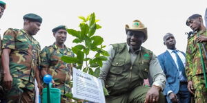 President William Ruto plants a tree at the launch of the National Programme for Accelerated Forestry and Rangelands Restoration in December 2022