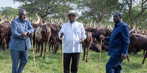 President William Ruto, former Prime Minister Raila Odinga and President Yoweri Museveni at Museveni's home in Uganda on Monday, February 24, 2024