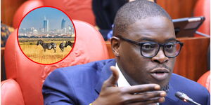 Sakaja Nairobi National Park 