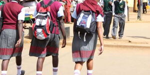 Secondary school students