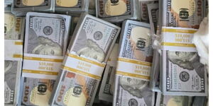 Fake US Dollar notes from the arrested suspect